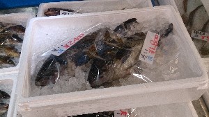 20141227 -T̔ł-_32