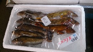 20141227 -T̔ł-_33