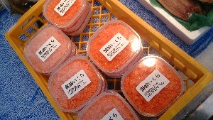 20141227 -T̔ł-_44