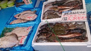 20141227 -T̔ł-_50