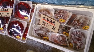 20141227 -T̔ł-_54