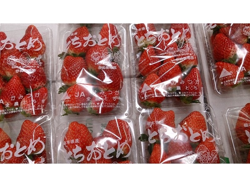 20150124| T̔ł |_14