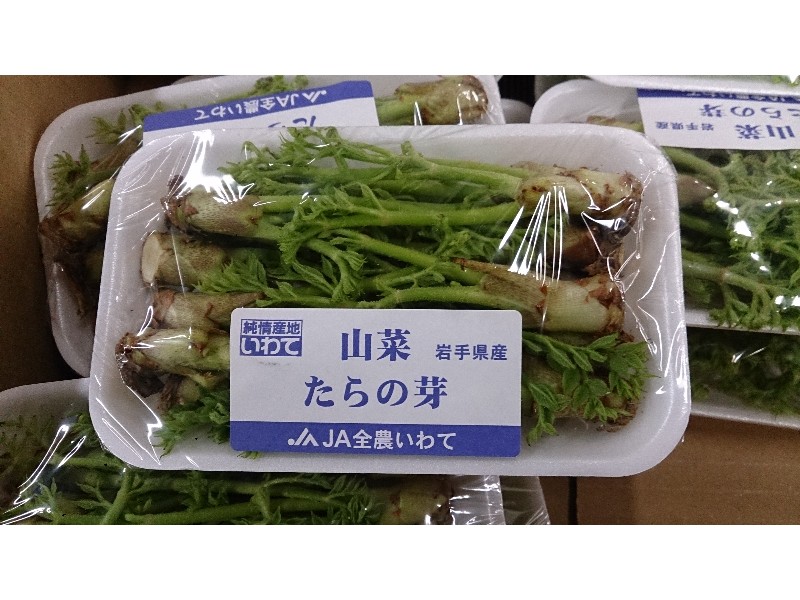 20150124| T̔ł |_25