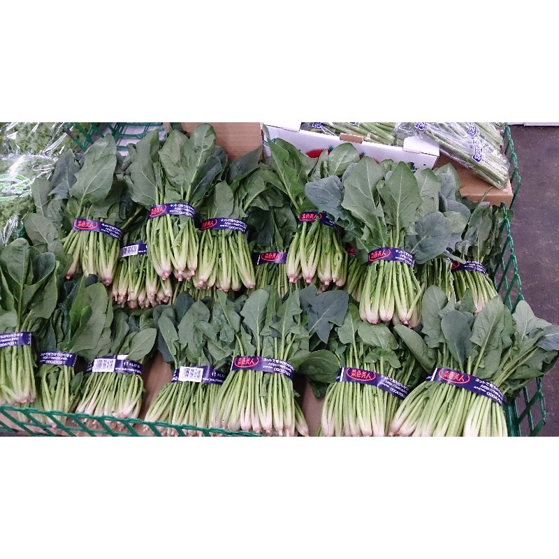 20150131| T̔̉摜ł |_5