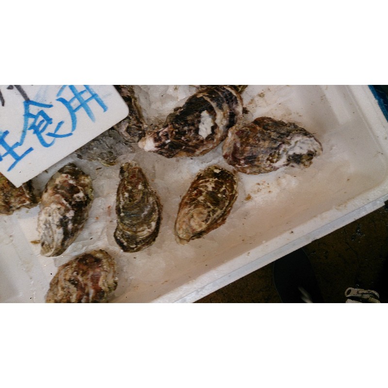 20150131| T̔̉摜ł |_25