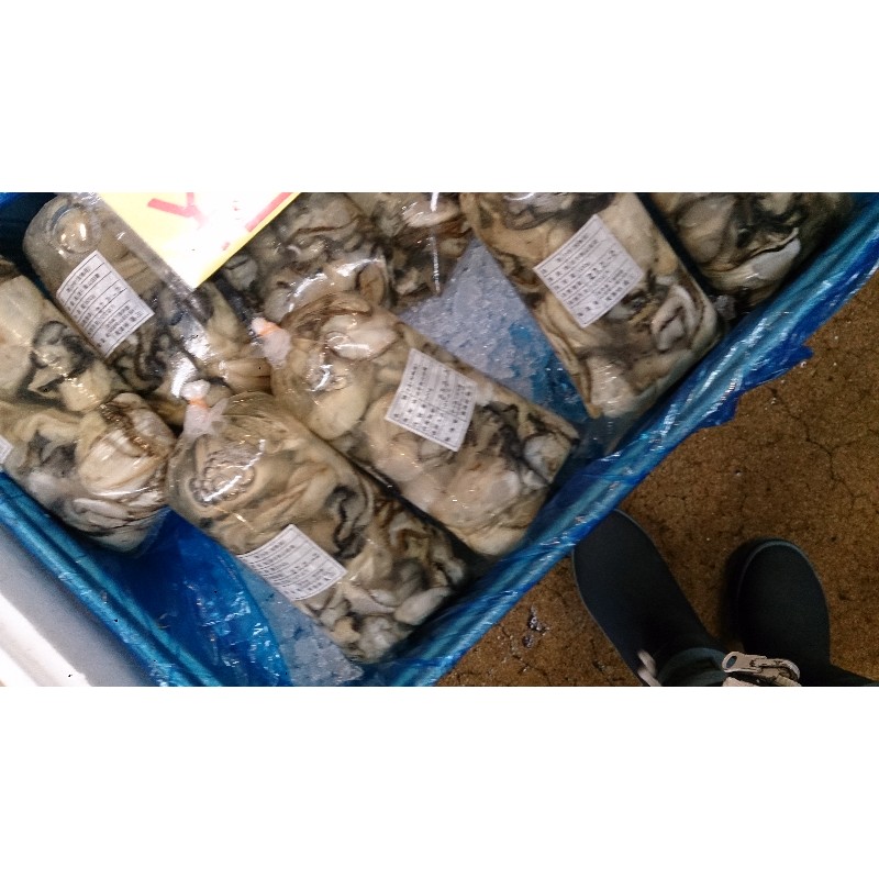 20150131| T̔̉摜ł |_26