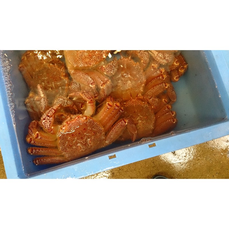 20150131| T̔̉摜ł |_27