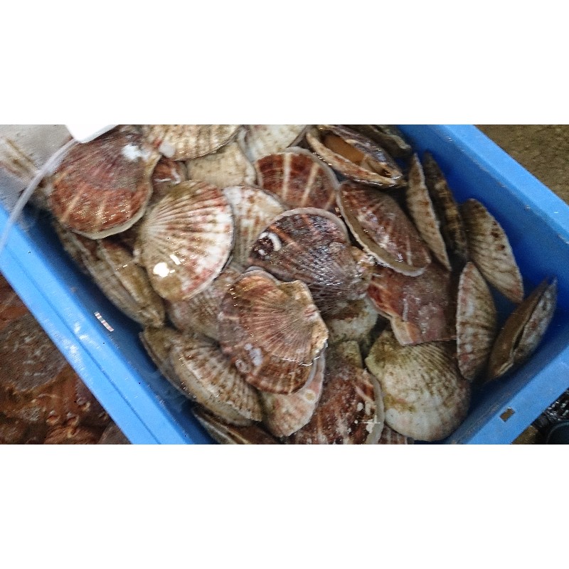20150131| T̔̉摜ł |_28