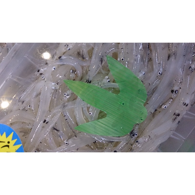 20150131| T̔̉摜ł |_30