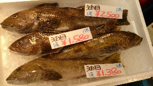 20150207| T̔ł |_24
