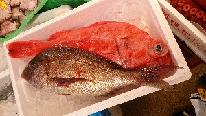 20150207| T̔ł |_43