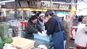 20150208| {̎薡X̌ł |_9