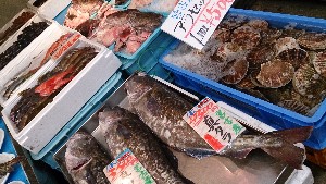 20150214| T̔ł |_26