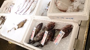 20150221| T̔ł |_13