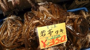 20150221| T̔ł |_18
