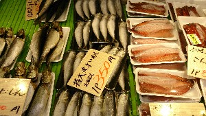 20150221| T̔ł |_19