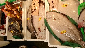20150221| T̔ł |_23