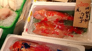20150221| T̔ł |_26