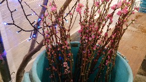 20150228| T̔ł |_20