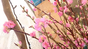 20150228| T̔ł |_21