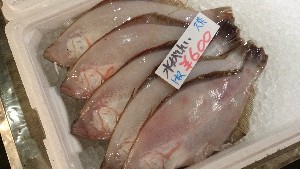 20150228| T̔ł |_31