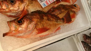 20150228| T̔ł |_36
