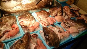 20150228| T̔ł |_46