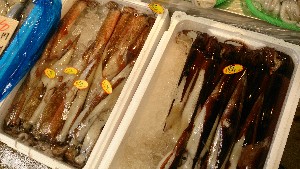 20150228| T̔ł |_47
