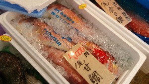 20150228| T̔ł |_51
