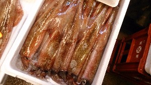 20150228| T̔ł |_53