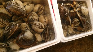 20150228| T̔ł |_54