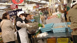 20150315�| �{���̎��薡�X�̌���̒�����E�E�@�|_1