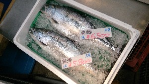 20150321| T̔ł@|_34