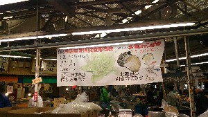 DSC_1106.jpg