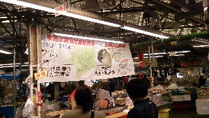DSC_1107.jpg