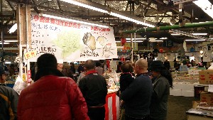 DSC_1109.jpg