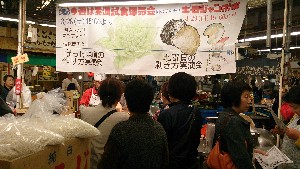 DSC_1127.jpg