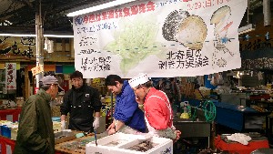 DSC_1151.jpg