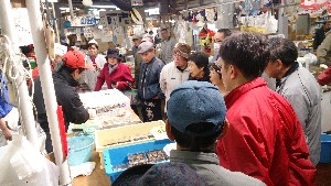 DSC_1166.jpg