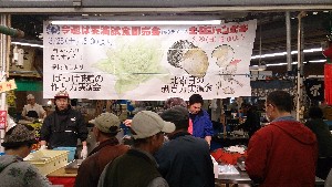 DSC_1183.jpg
