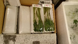 DSC_1353.jpg