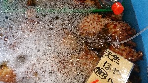 DSC_1362.jpg