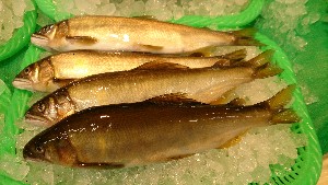 DSC_1369.jpg