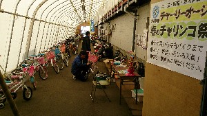20150418 - {̔ł@|_23