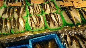 20150418 - {̔ł@|_48