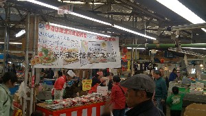 20150418 - ˂̎̔ ͕ĕ˂̐ˁ|_1