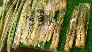 20150425 - T̔ł|_44