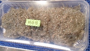 20150425 - T̔ł|_55