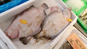 20150425 - T̔ł|_60