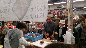 20150426 - VRẑ΂̎|_7